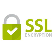 ssl encryption.png 220x220 q85 subsampling 2 Borderless Consulting